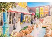 【60名339万円→258万円】2026年4~6月プラン