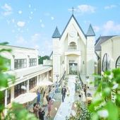 【2026年9月まで】限定プラン