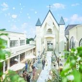 【2026年9月まで】限定プラン