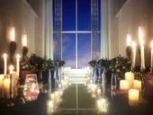 【トワイライトウェディング】限定プラン