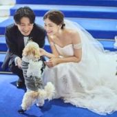 【キリスト教&人前式OK】ペット婚が新登場