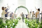 【早期予約がお得に】2026年1~2月挙式限定