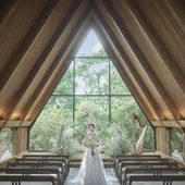 【27年3-5月限定】鮮やかな新緑と春爛漫の芽吹きに浸る春婚