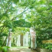 【少人数・会食】お得な割引プラン!26年12月まで