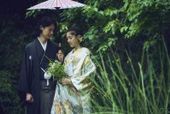 【最大60万円値引】〈26年3~5月〉桜舞う春婚
