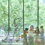 大人数ウエディング【26年5月挙式迄】