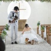 【ペット婚プラン登場!】大切な愛犬と一緒に叶える結婚式プラン
