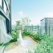 早割【2026年6~8月】サマープラン≪最大53万円優待≫