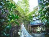 早割【2027年6月・7月|50名53万円特典】初夏プラン