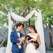 【ワンちゃんと結婚式】〈40名145万/60名171万〉