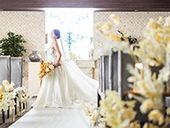 【2026年6月〜】New挙式プラン