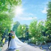 【27年9~11月】紅葉彩る秋婚プラン