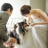 【ペット婚】最大65万円ご優待|“全館ペットOK”プラン
