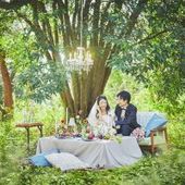 【26年10~12月限定Plan*】60名255万⇒208万