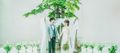 リゾート気分が味わえる結婚式場特集