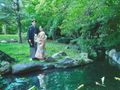 和装・和婚を希望なら、<br>こんな演出はいかが？