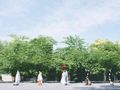 和装・和婚を希望なら、<br>こんな演出はいかが？